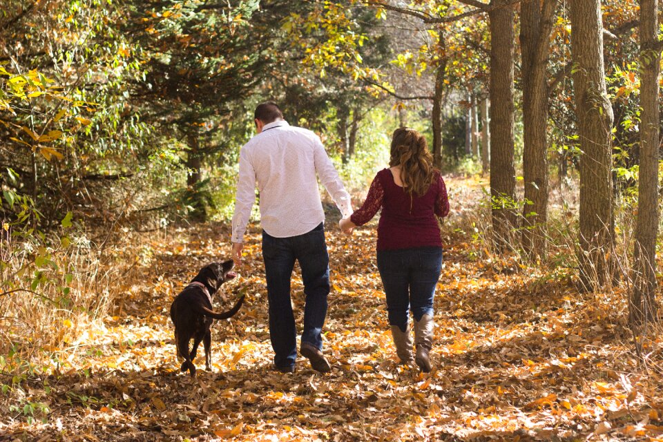 Fall autumn family with dog