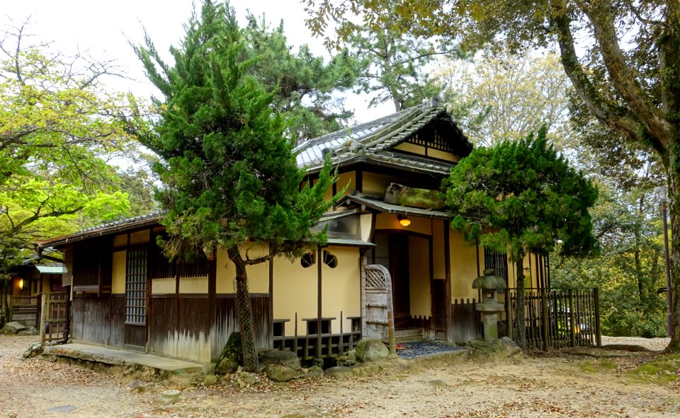 Edosan - Nara Park - Nara, Japan - DSC07428