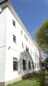 Editaton para la memoria (16)