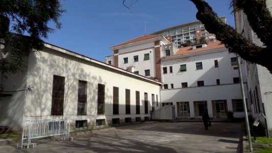 Editaton para la memoria (17)
