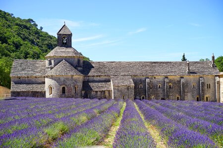 Notre dame de sénanque the order of cistercians gordes photo