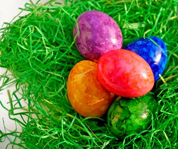 Egg grass deco