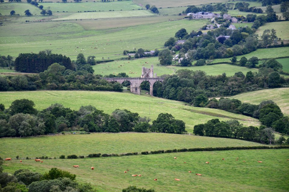Edlingham 2020-07-14 04