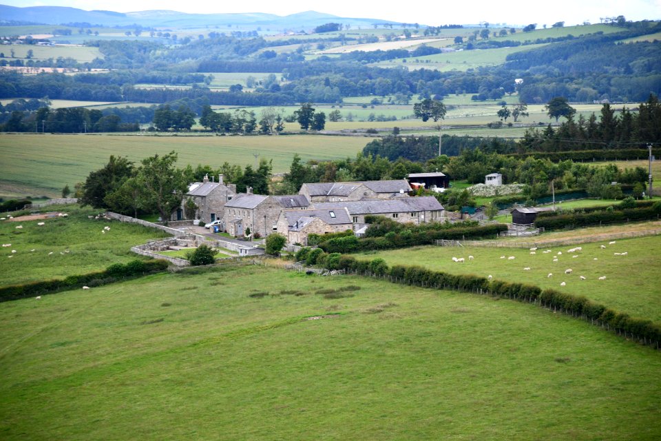 Edlingham 2020-07-14 05