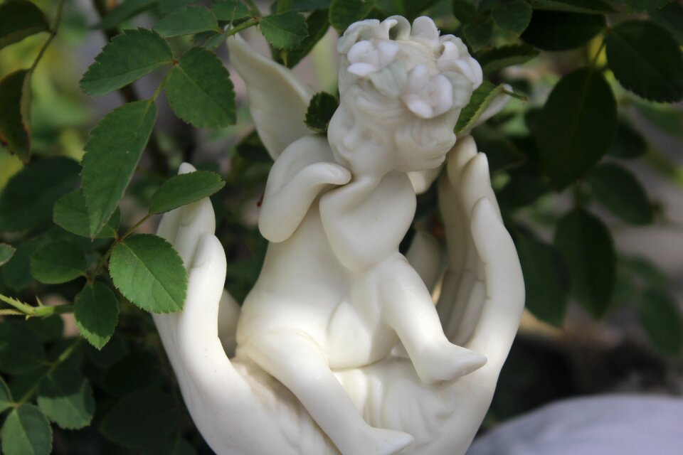 Baby care innocence green care