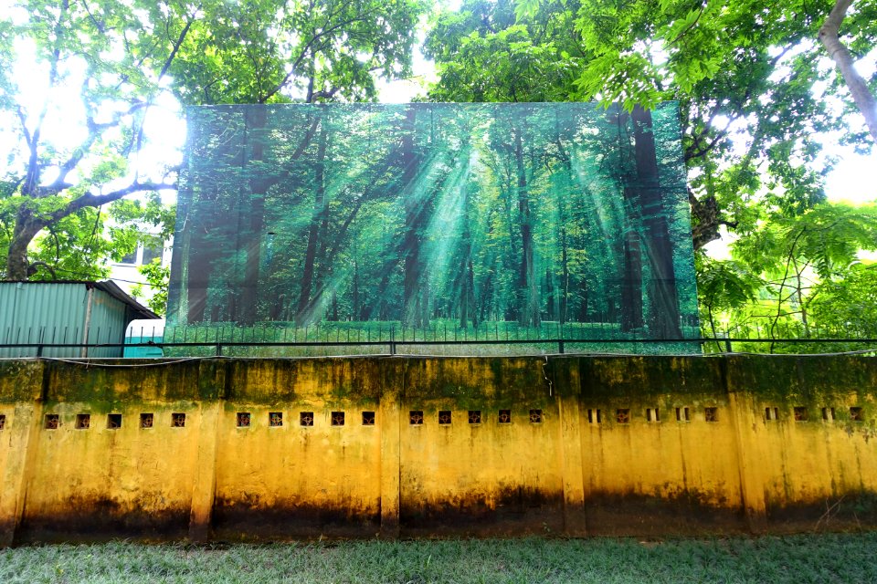 Edge - Hanoi Botanical Garden - Hanoi, Vietnam - DSC03576