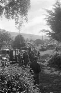 Een groep TNI-soldaten die gevangen is genomen, Bestanddeelnr 433-4-1