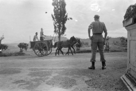 Een dokar (paard met wagen) passeert In de voorgrond een toekijkende Nederland, Bestanddeelnr 501-4-1