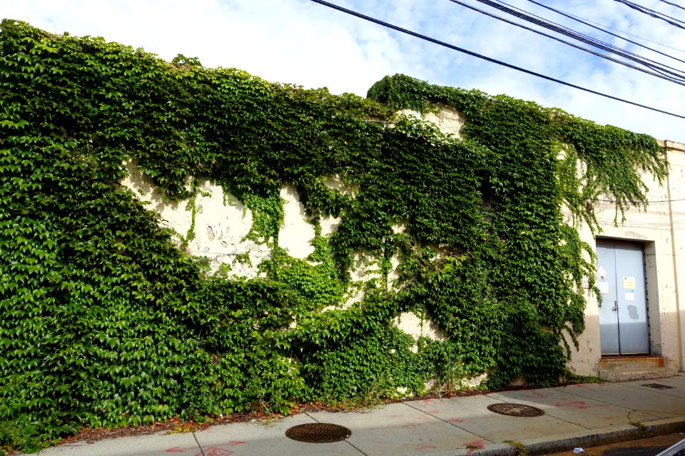Edison Building, Spring Street - Watertown, Mass - DSC07450