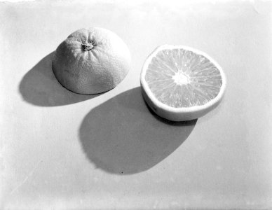 Een doorgesneden sinaasappel, Bestanddeelnr 252-1487 photo