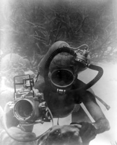 Een duiker met een camera in de Fuikbaai, Bestanddeelnr 252-2997