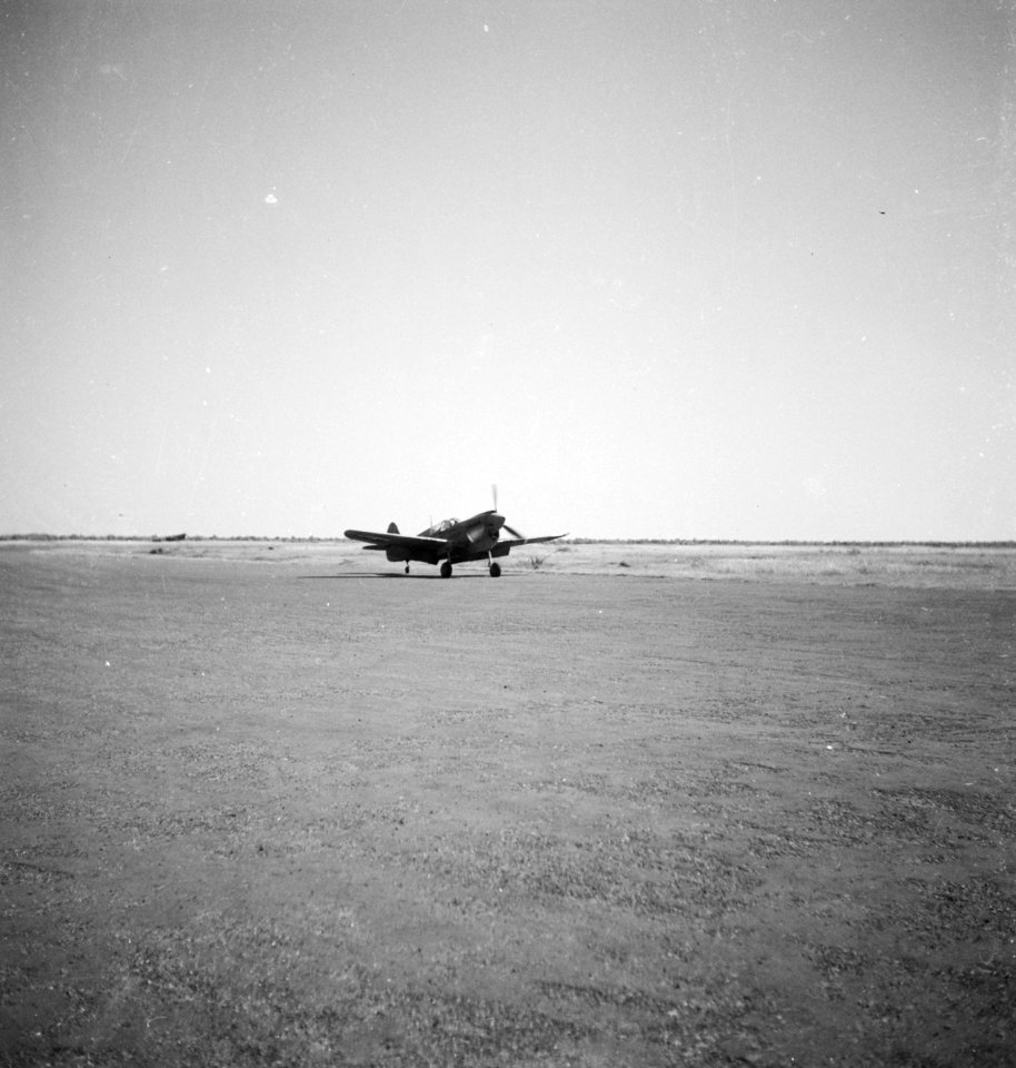 Een Curtiss P-40N Kittyhawk, Bestanddeelnr 11842
