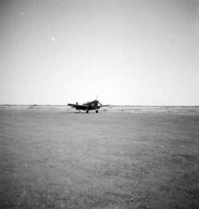 Een Curtiss P-40N Kittyhawk, Bestanddeelnr 11842