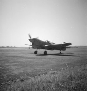 Een Curtiss P-40N Kittyhawk, Bestanddeelnr 11841