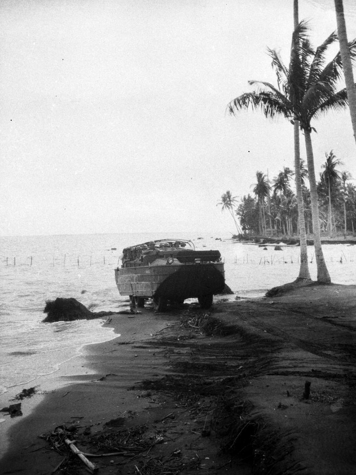 Een DUCKW voertuig komt aan land op een strand, Bestanddeelnr 14895