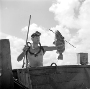 Een duiker met een gevangen vis aan boord van een schip in de Fuikbaai, Bestanddeelnr 252-3026