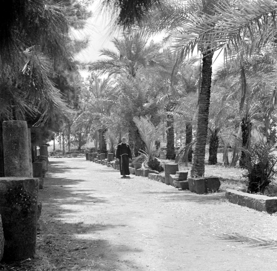 Een franciscaner monnik in een park in Kapernaum waar archeologische vondsten wo, Bestanddeelnr 255-1525