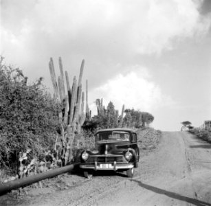 Een auto op een weg op Curaçao, Bestanddeelnr 252-7366