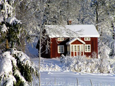 Red cottage sweden forest photo