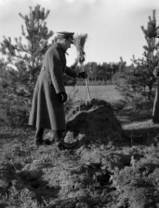 Een bezem wordt in de grond geplant bij wijze van grensmarkering, Bestanddeelnr 190-1190