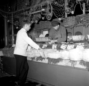 Een ober wacht totdat de oesters zijn opengemaakt, Bestanddeelnr 254-0023