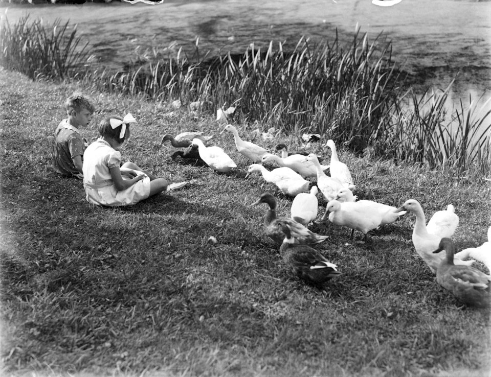 Een jongen en een meisje voeren de eenden (in het Vondelpark), Bestanddeelnr 190-1017