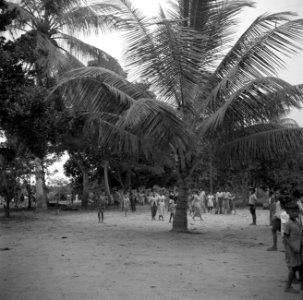 Een Javaanse kampong in het Commewijnegebied, Bestanddeelnr 252-6495