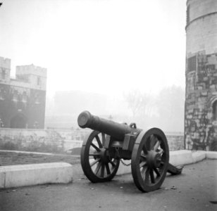 Een kanon in de Tower in Londen, Bestanddeelnr 254-1959