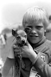 Een jongen toont zijn hondje, Bestanddeelnr 921-6383