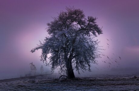 Spirit creepy mystical
