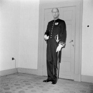 Een hoffunctionaris in ambtskledij, Bestanddeelnr 255-7132