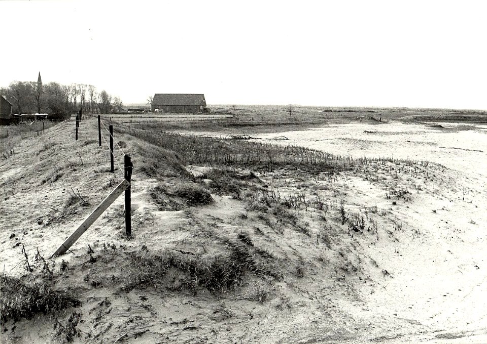 Een gedeelte van Ruigoord, ziende naar de Baudinlaan en naar het Noorden. Aangekocht in 1981 van fotograaf C. de Boer. - Negatiefnummer 20091 k 23. - Gepubliceerd in het Haarlems Dagblad 21., NL-HlmNHA 1478 25900 K 38
