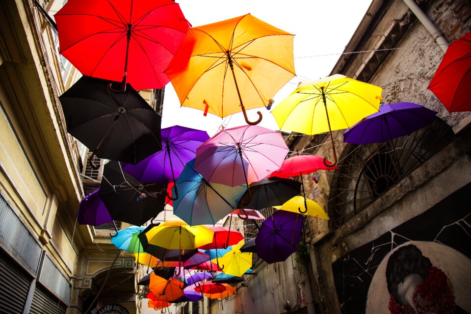 Street avenue color