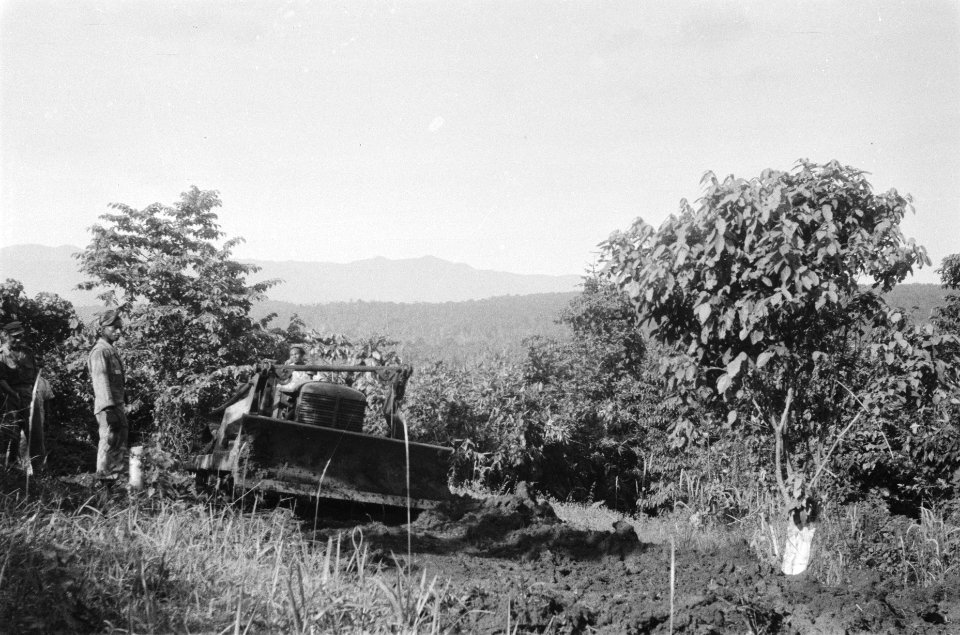 Een bulldozer, Bestanddeelnr 507-6-2