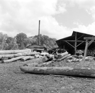 Een houtzagerij, Bestanddeelnr 252-4798