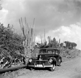 Een auto op een weg op Curaçao, Bestanddeelnr 252-7367
