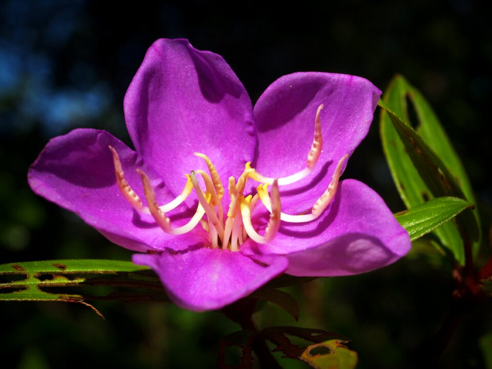 Outdoor sunlight shine
