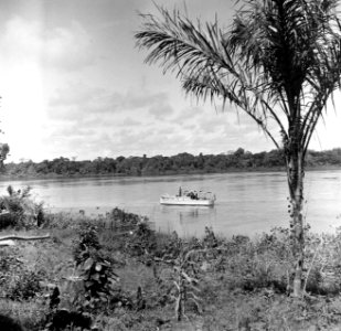 Een boot op een rivier, waarschijnlijk de Surinamerivier, Bestanddeelnr 252-6942