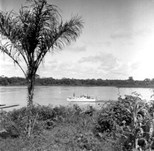 Een boot op een rivier, waarschijnlijk de Surinamerivier, Bestanddeelnr 252-6941
