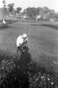 Een Indonesier op een gazon (Koningsplein), Bestanddeelnr 1080