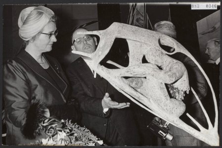 Exposities, beelden, beeldhouwkunst, openingen, ministers, Klompé, Marga, Konink, Bestanddeelnr 083-0346