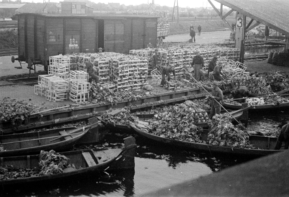 Export bloemkool naar Duitsland, Bestanddeelnr 901-9428
