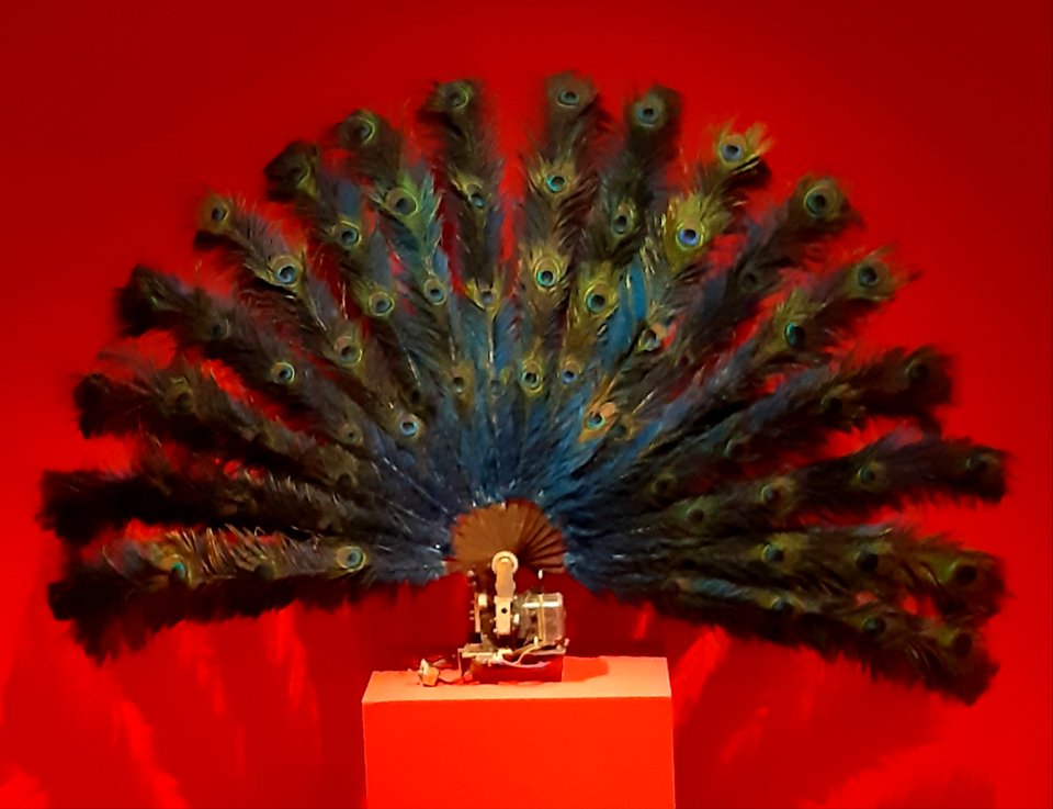 Expo Louis de Funès à Paris - 45 - Plumes de paon de L'Avare