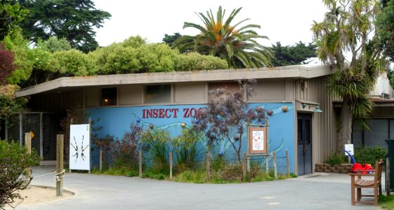 Exterior, Insect Zoo - San Francisco Zoo - San Francisco, CA - DSC03471