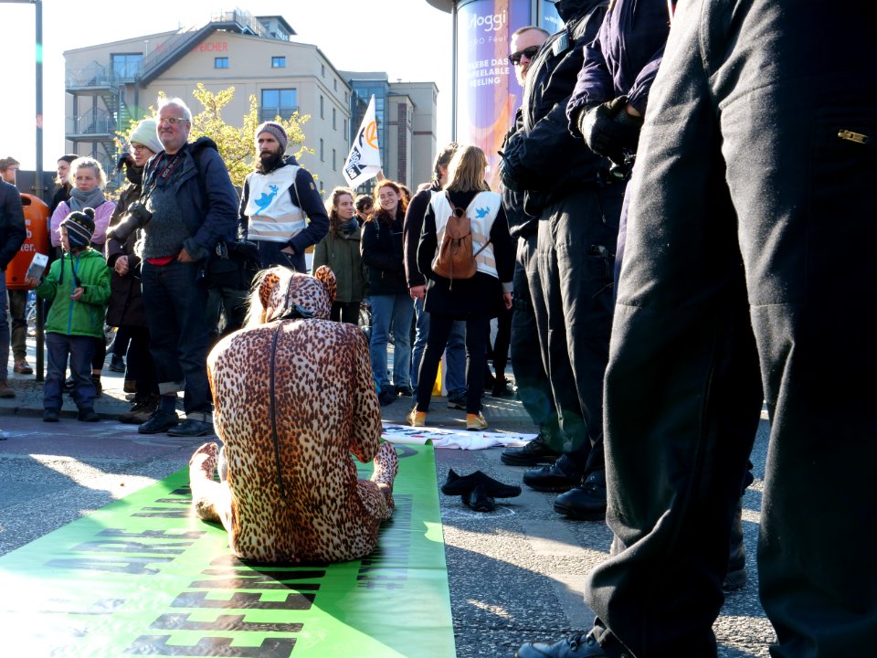 Extinction Rebellion blockade of the Oberbaumbrücke 50