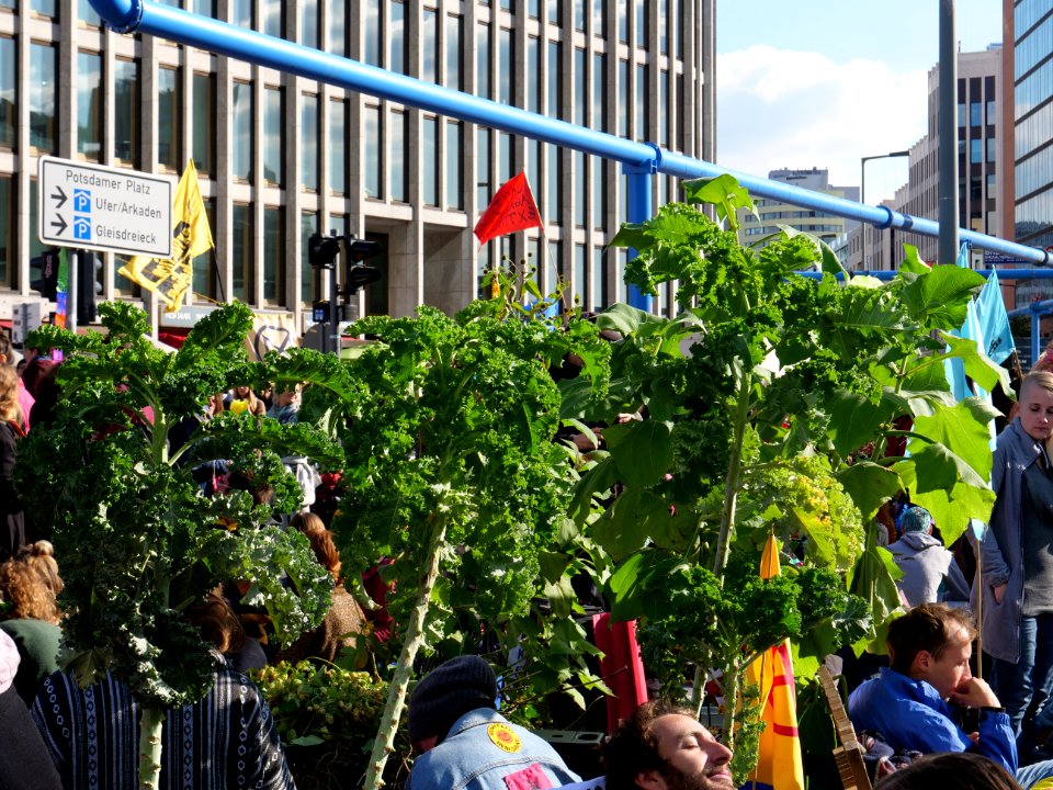Extinction Rebellion blockade Potsdamer Platz 2019-10-07 32