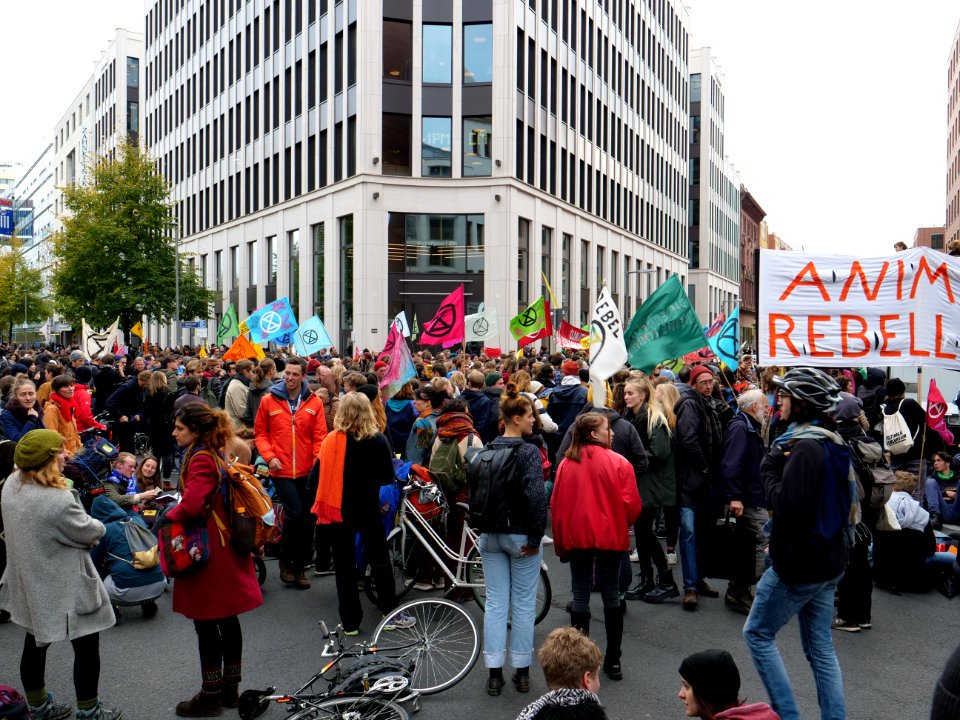 Extinction Rebellion blockade Stresemannstraße 2019-10-11 26