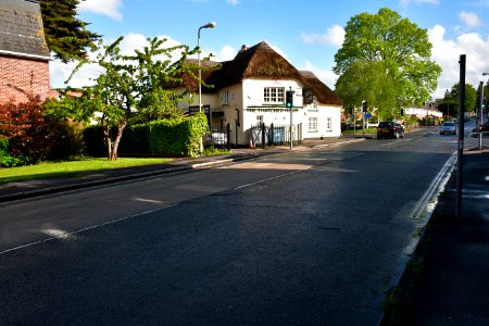 Exwick (2021-05-15) 06