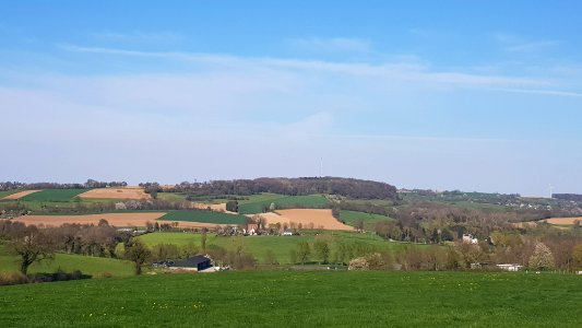 Eys-Eyserbos op de Eyserberg (2)