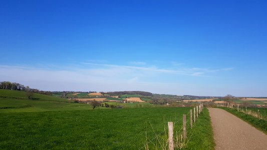 Eys-Eyserbos op de Eyserberg (1)